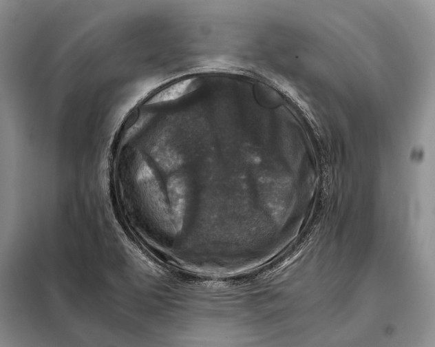 X0000098021463200804181150