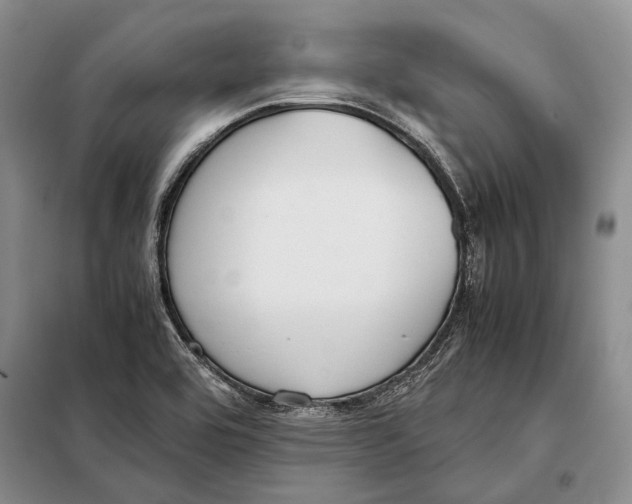 X0000098021464200804181149