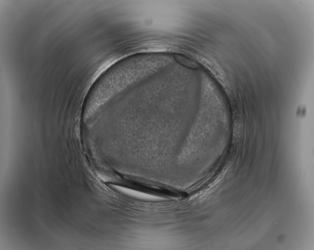 X0000098021465200804181149