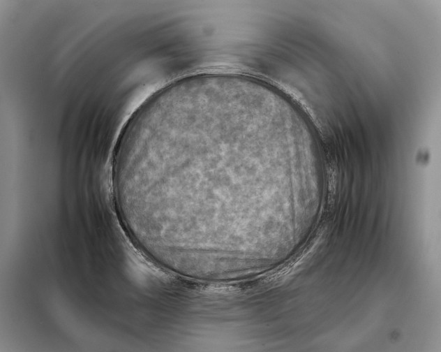 X0000098021466200804181149