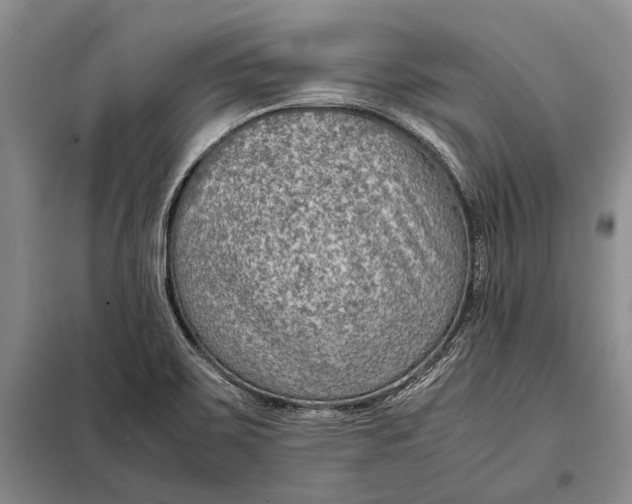 X0000098021467200804181149