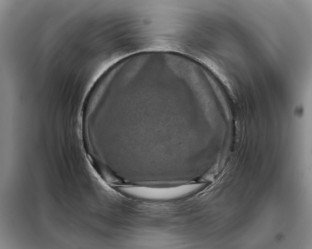 X0000098021468200804181149