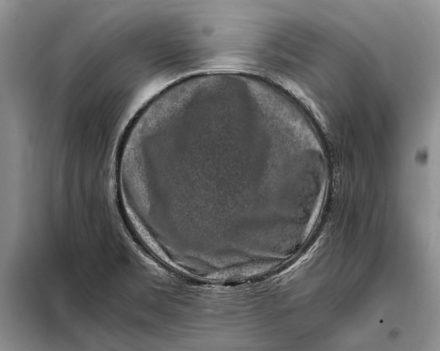 X0000098021469200804181149