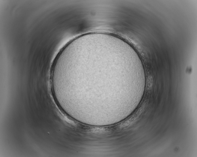 X0000098021470200804181149