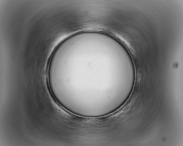 X0000098021471200804181149