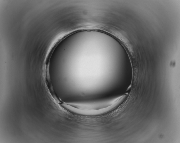 X0000098021472200804181149