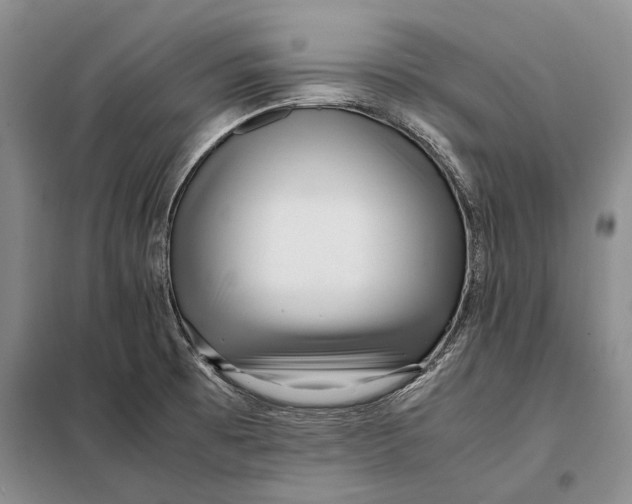 X0000098021473200804181149