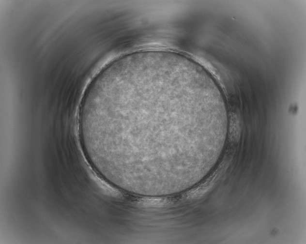 X0000098021474200804181149