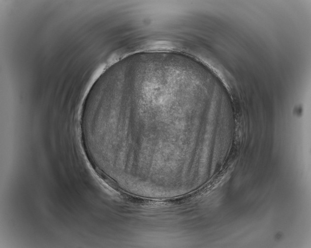 X0000098021475200804181149