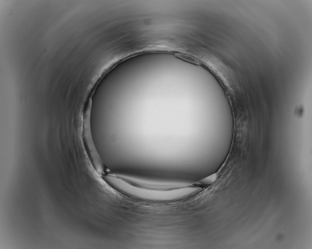 X0000098021476200804181149