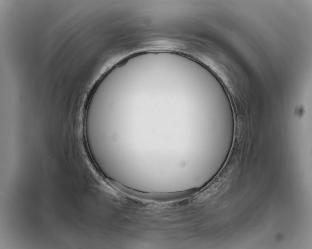 X0000098021477200804181149