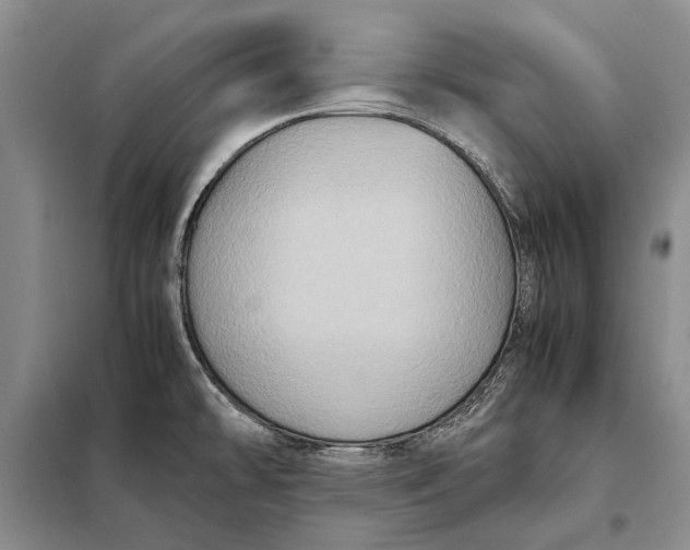 X0000098021478200804181149