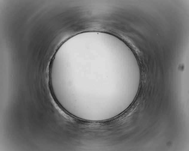 X0000098021479200804181149