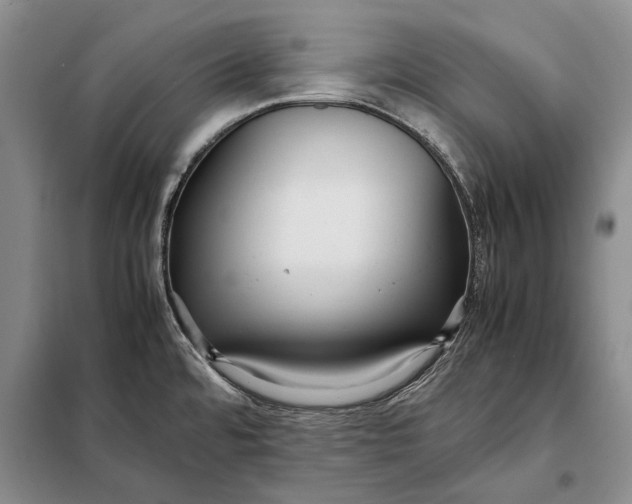 X0000098021480200804181149