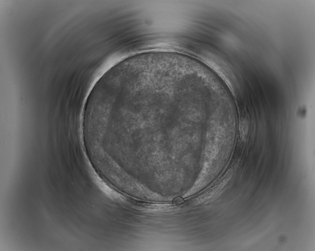 X0000098021482200804181149