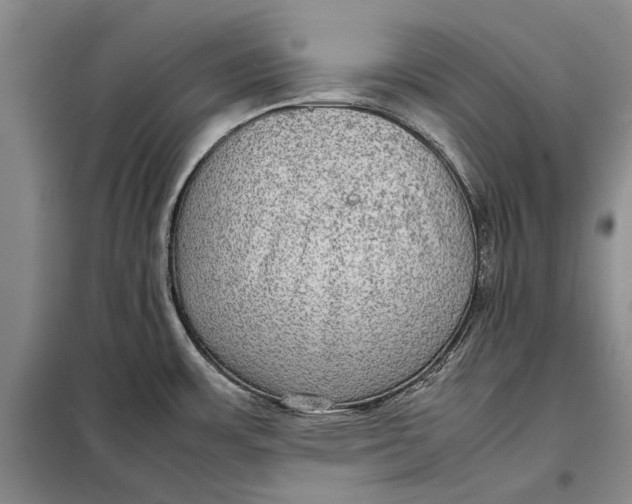 X0000098021483200804181149