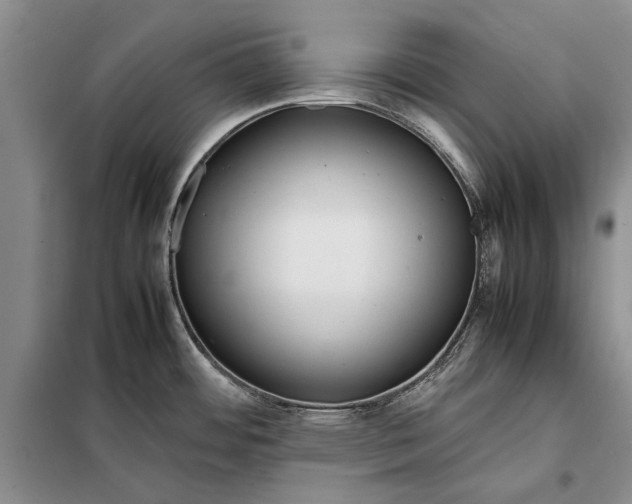 X0000098021484200804181149