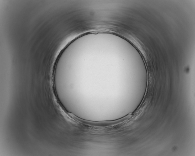 X0000098021485200804181149