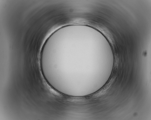 X0000098021486200804181149