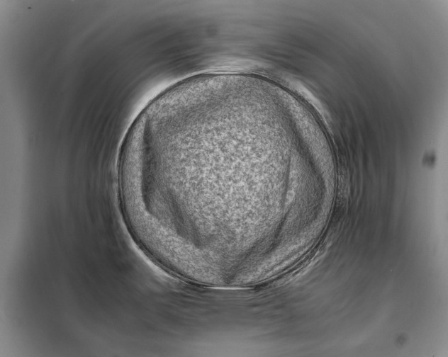 X0000098021487200804181149