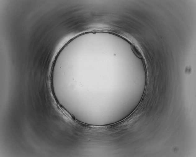 X0000098021488200804181149