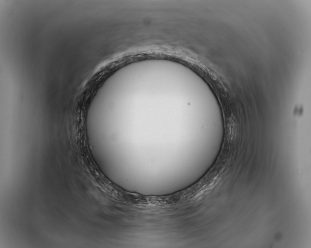 X0000098021494200804181148