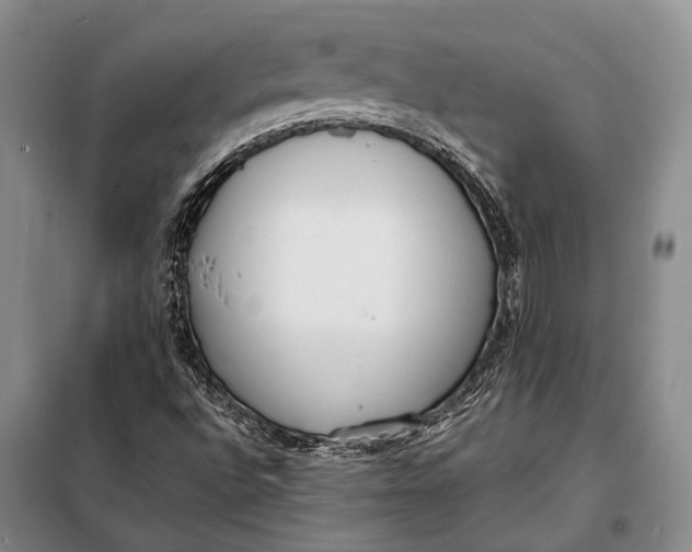 X0000098021496200804181148