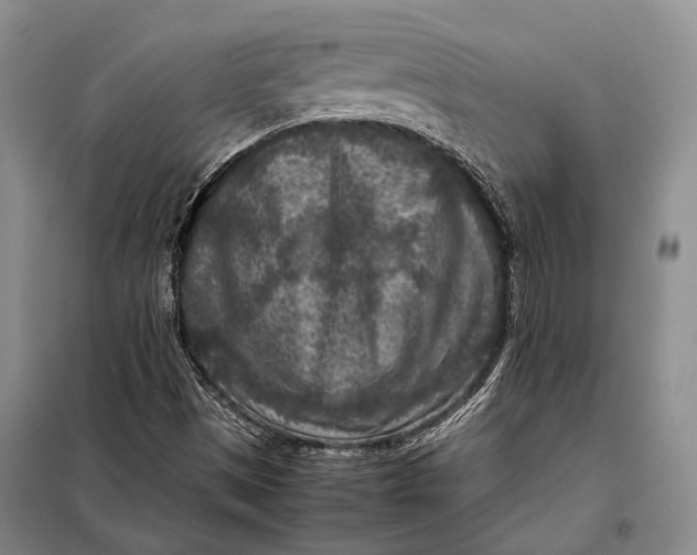 X0000098021497200804181148