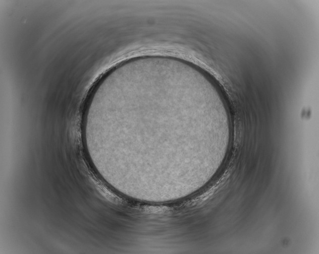 X0000098021498200804181148