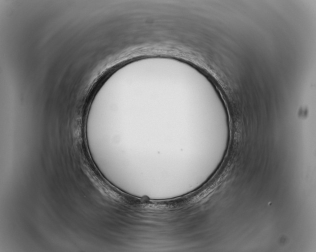 X0000098021499200804181148