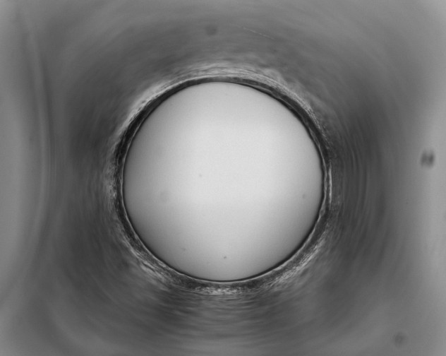 X0000098021501200804181148