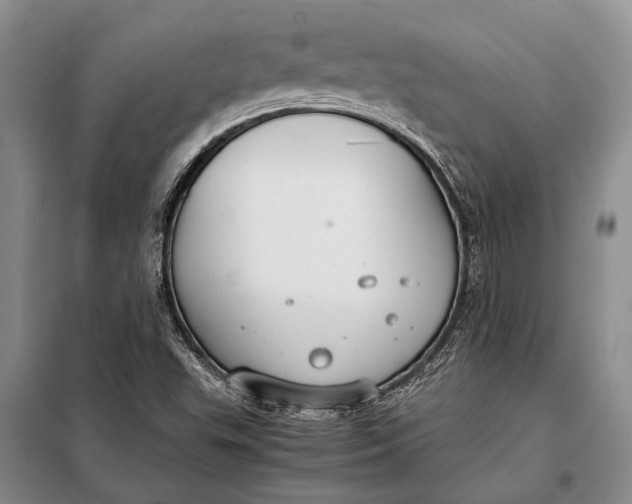 X0000098021503200804181148