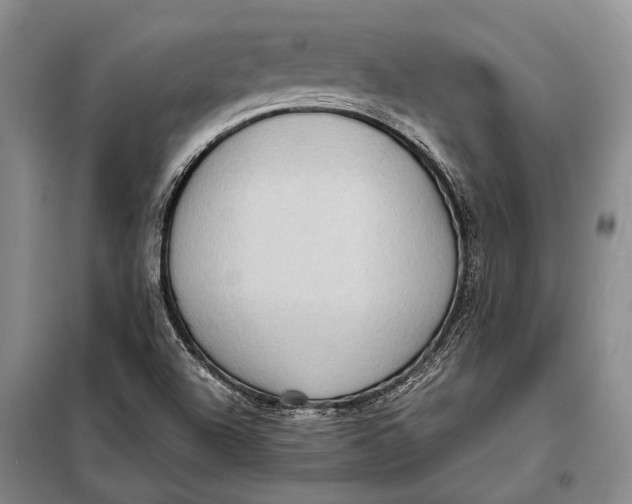 X0000098021504200804181148