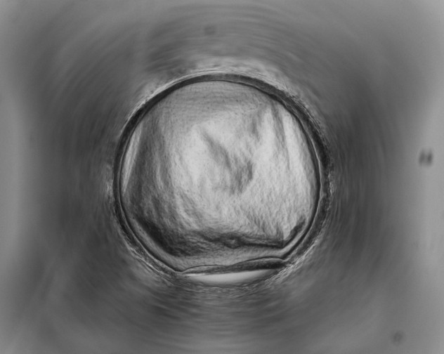 X0000098021505200804181148