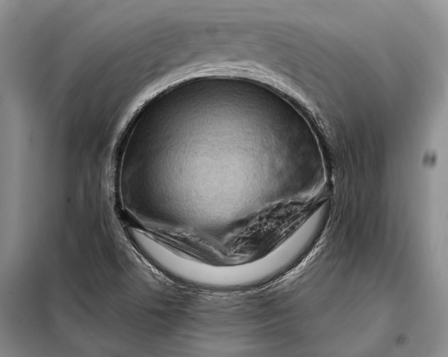 X0000098021506200804181148