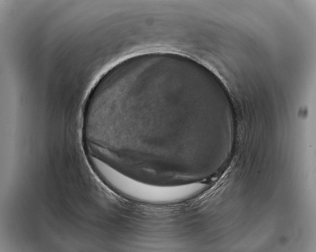 X0000098021508200804181148