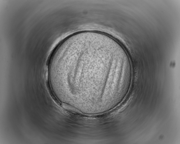 X0000098021509200804181148