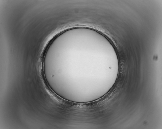 X0000098021511200804181148