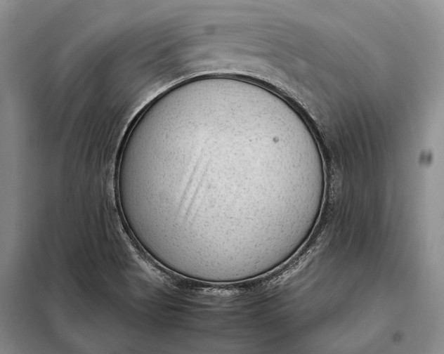 X0000098021513200804181148