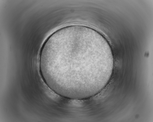 X0000098021514200804181149