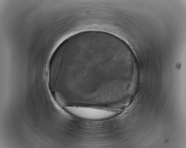 X0000098021515200804181149