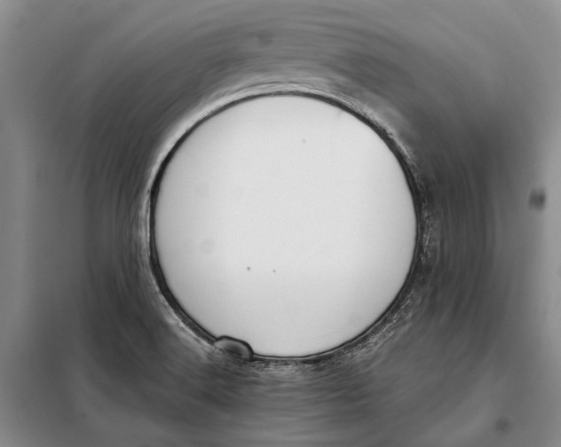 X0000098021516200804181149