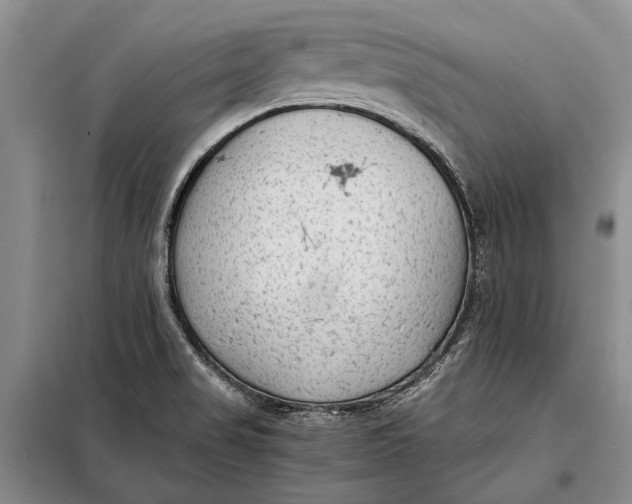 X0000098021517200804181149