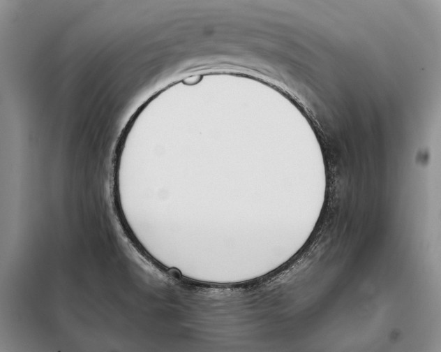 X0000098021518200804181149