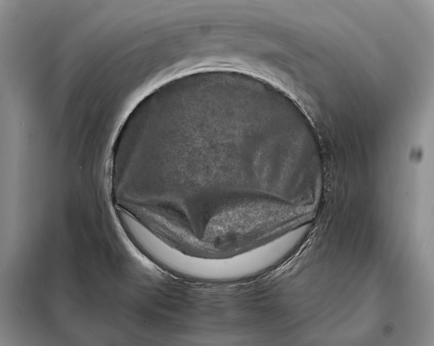 X0000098021519200804181149