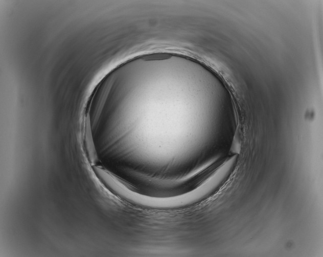 X0000098021520200804181149