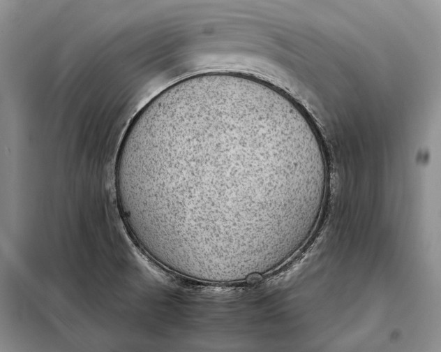 X0000098021521200804181149