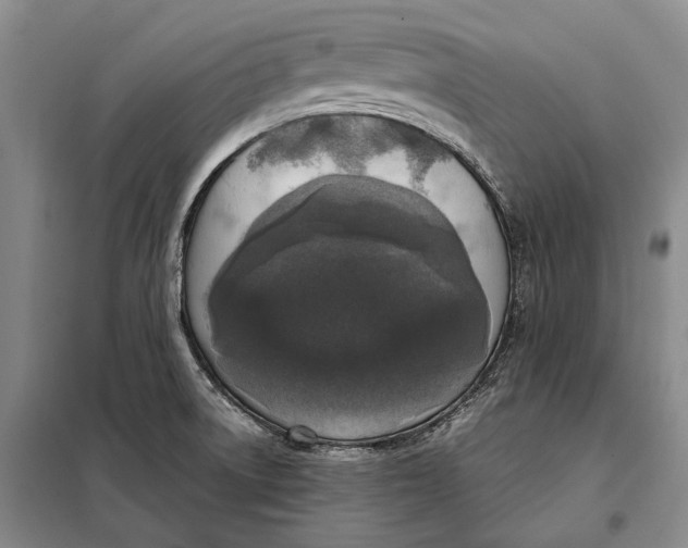 X0000098021522200804181149