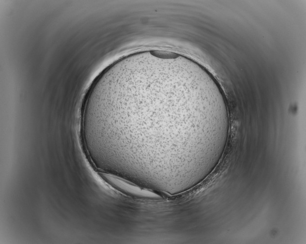 X0000098021523200804181149