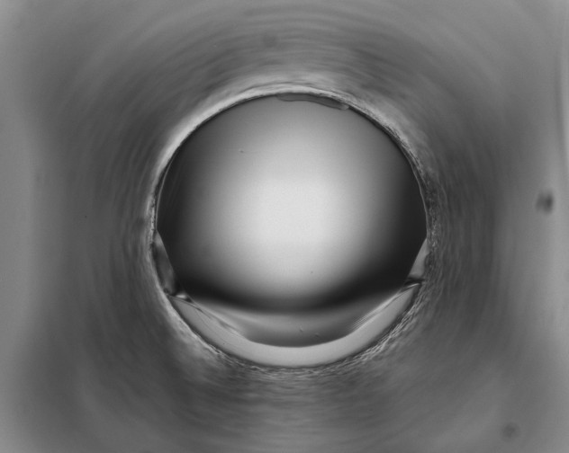 X0000098021524200804181149